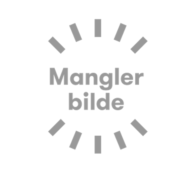 Figur 1: Mangler bilder