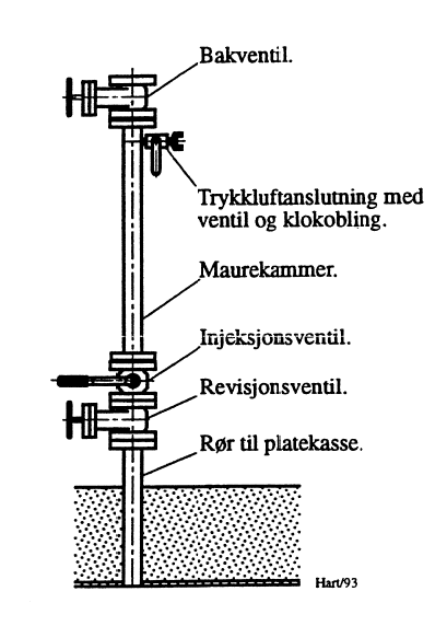 Figur 1: Eksempel på maurearrangement.